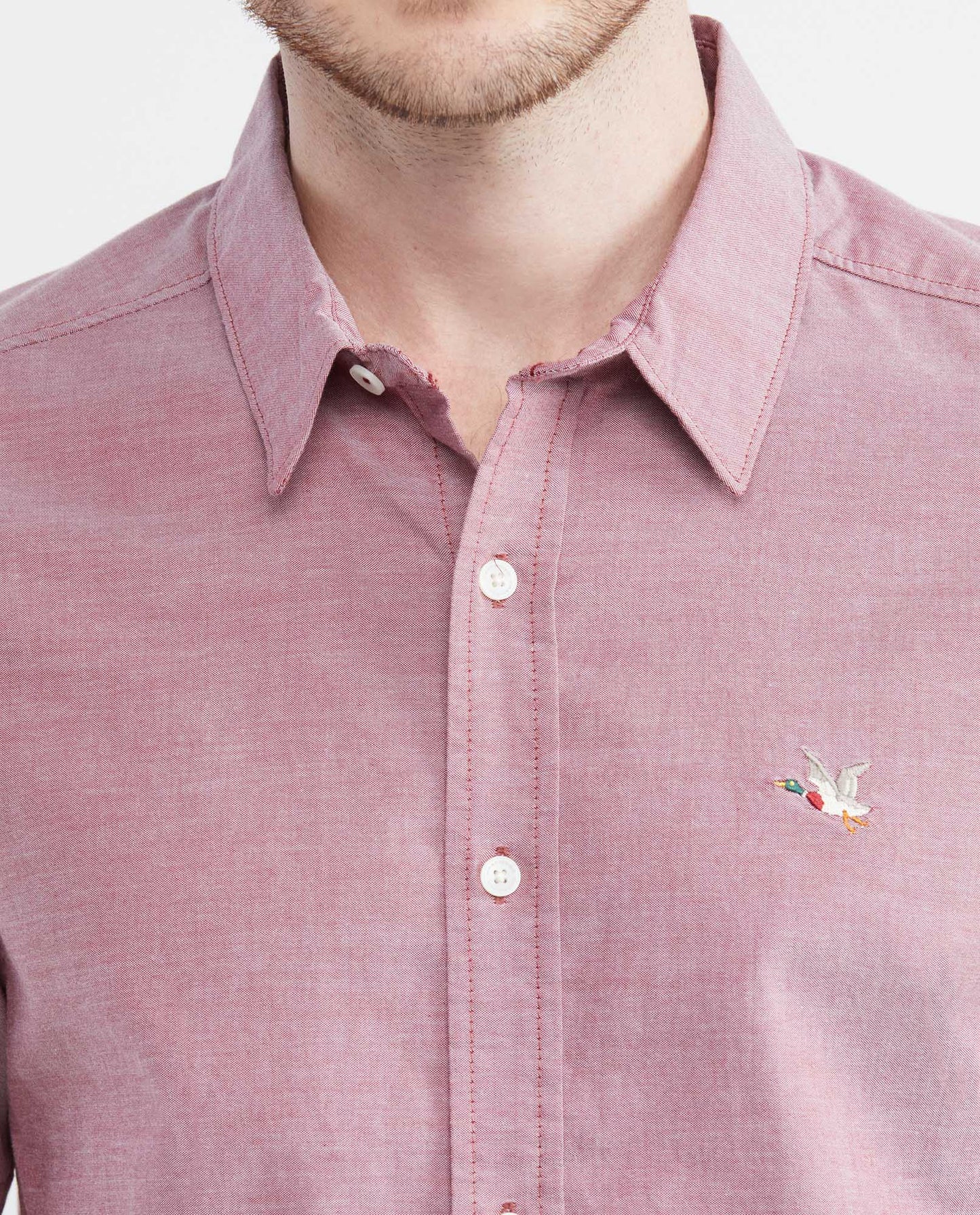 CAMISA MC CHEVIGNON 611E026