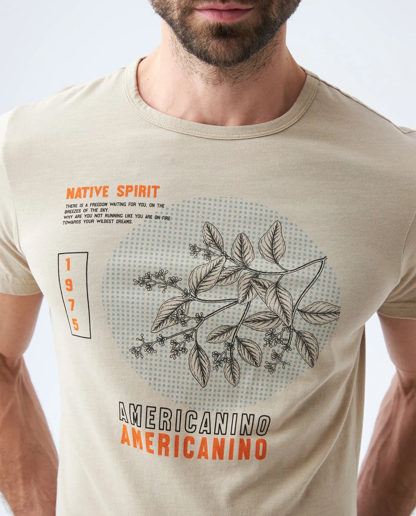 CAMISETA ESTAMPADA AMERICANINO REF842E020