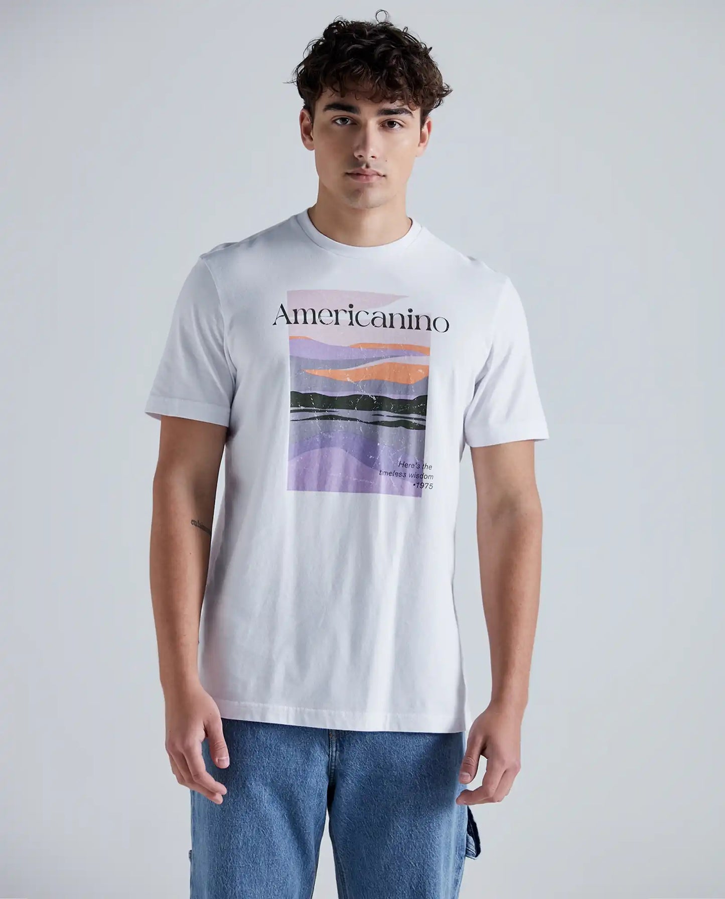 CAMISETA ESTAMPADA AMERICANINO REF841E001